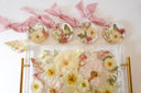 Undying Love Collection image 2