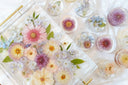 The Acrylic Resin Tray