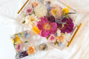 The Acrylic Resin Tray