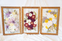 The Soulmate Collection