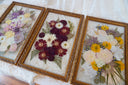 The Soulmate Collection
